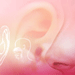 Etude de l'oreille, du nez et du larynx